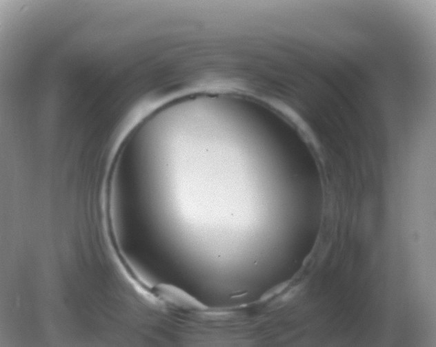 X0000082171343200701262350