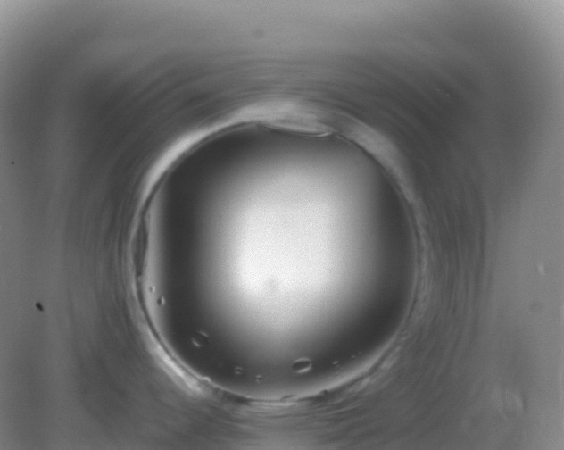 X0000082171344200701262350