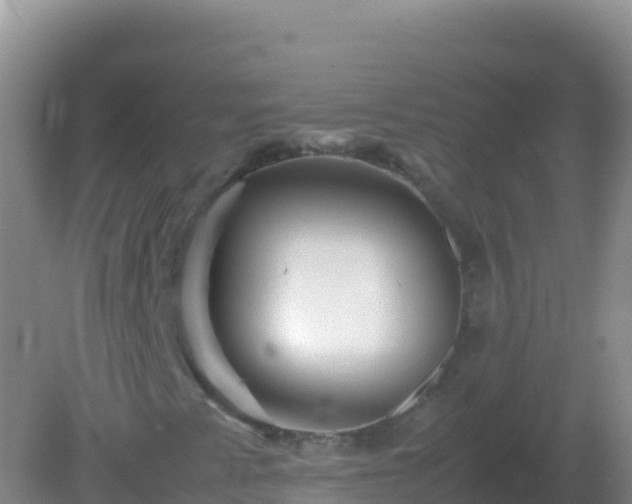 X0000082171345200701262349