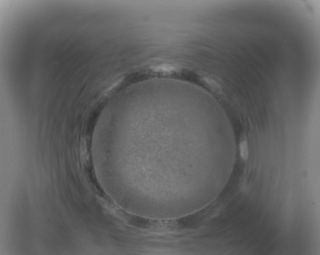 X0000082171347200701262349