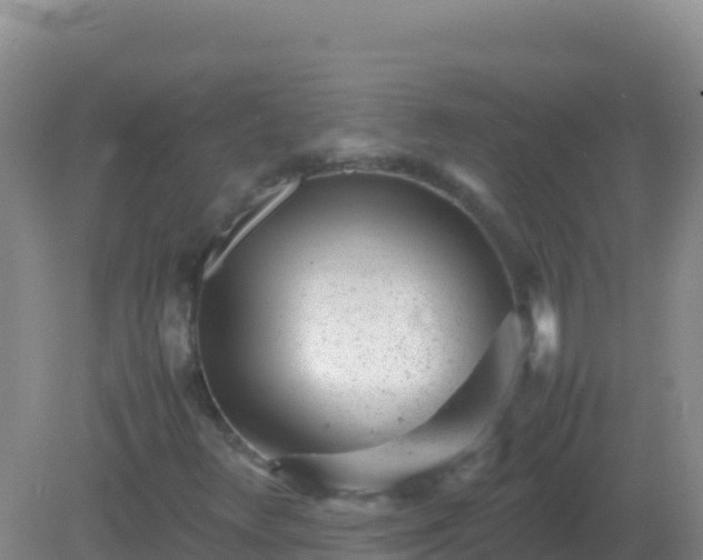 X0000082171348200701262349