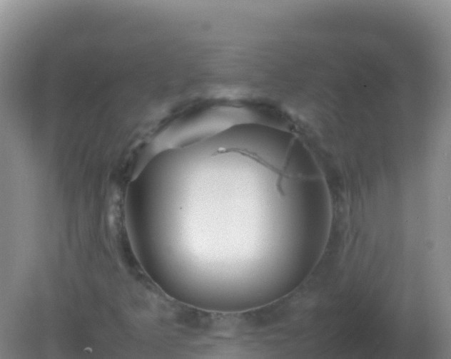 X0000082171349200701262349