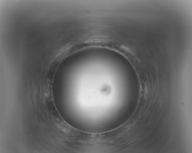 X0000082171350200701262349