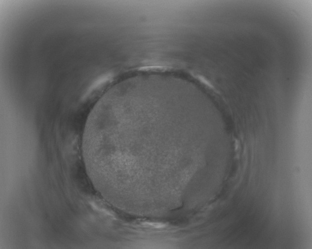 X0000082171351200701262349