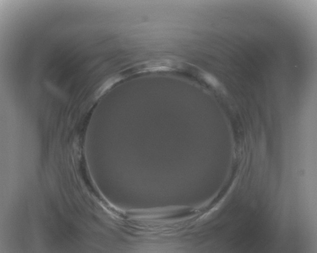 X0000082171353200701262349