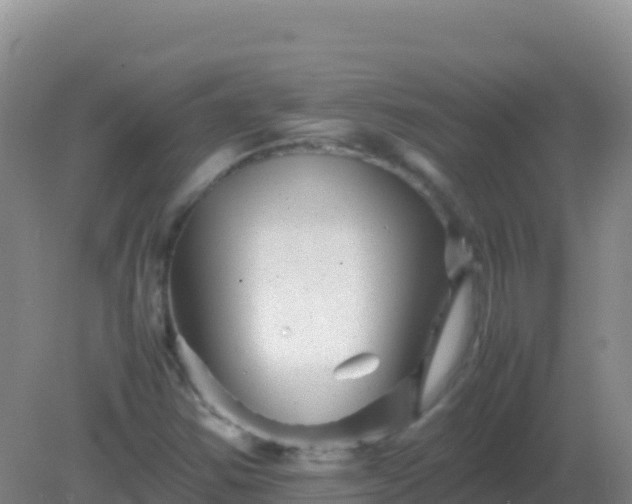 X0000082171354200701262349