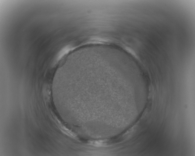 X0000082171355200701262349