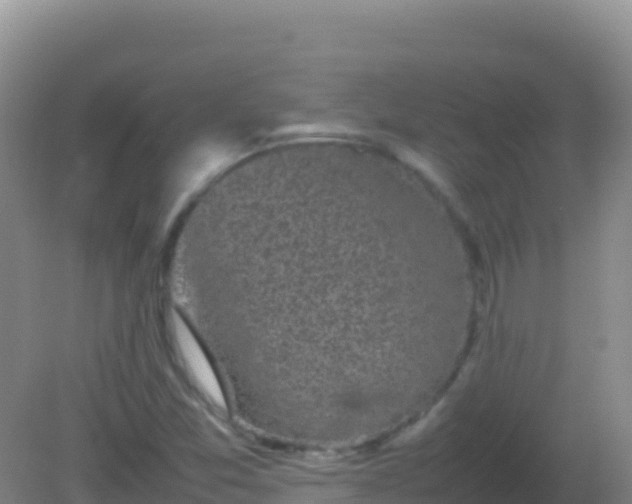 X0000082171357200701262349