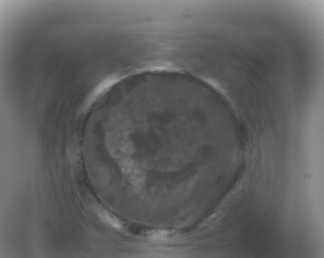 X0000082171359200701262349