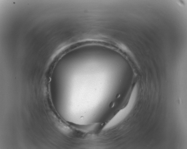 X0000082171360200701262349