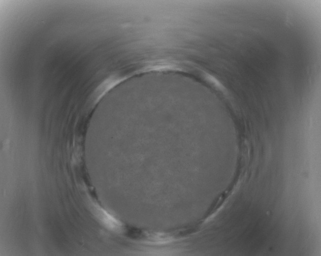 X0000082171361200701262349