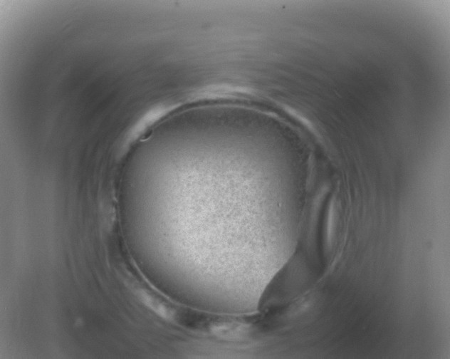 X0000082171363200701262349