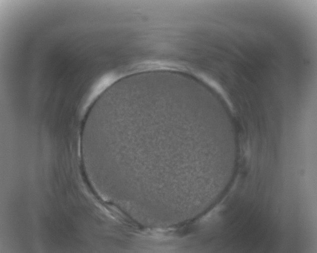 X0000082171365200701262349