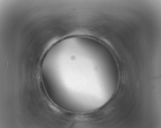 X0000082171366200701262349