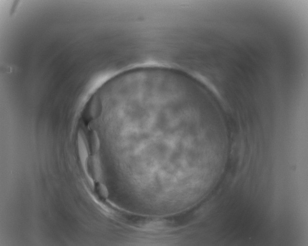 X0000082171367200701262349