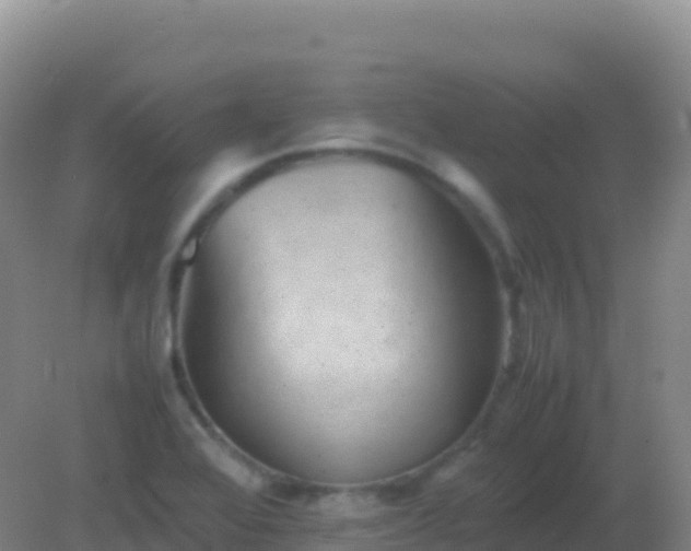 X0000082171368200701262349