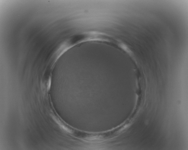 X0000082171369200701262349