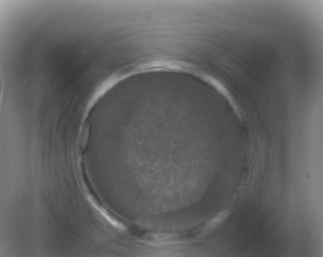 X0000082171373200701262349