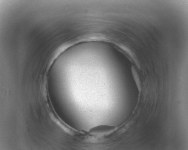 X0000082171374200701262349