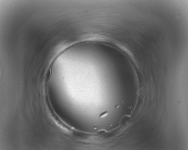 X0000082171375200701262349