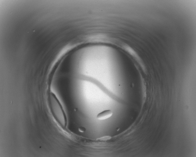 X0000082171376200701262349