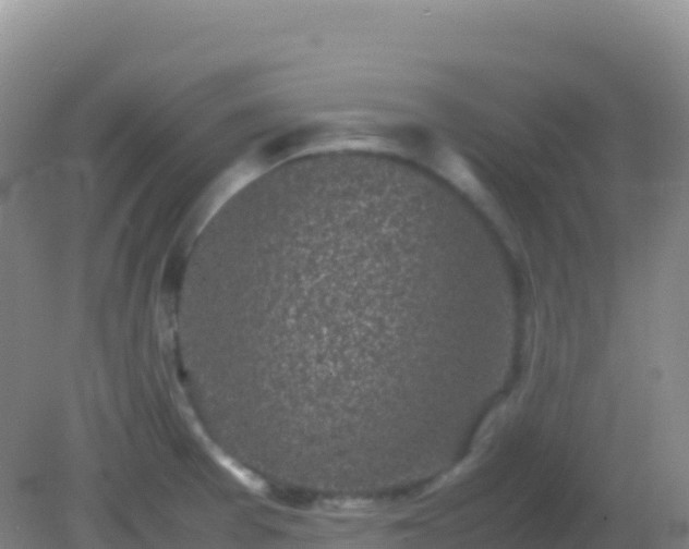 X0000082171377200701262349