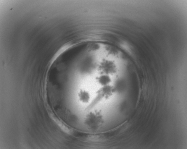 X0000082171378200701262349