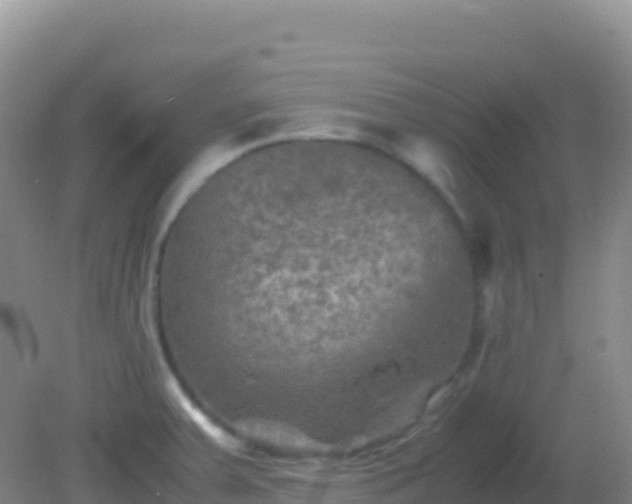 X0000082171379200701262349