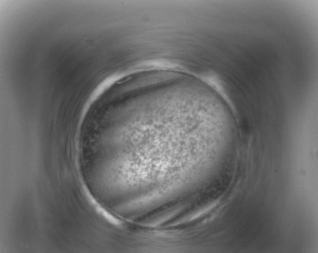 X0000082171381200701262349