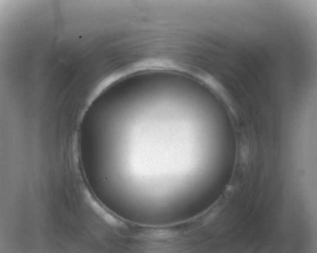 X0000082171382200701262349