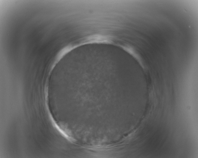 X0000082171383200701262349