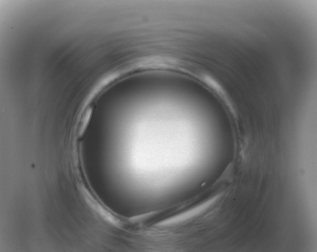 X0000082171384200701262349