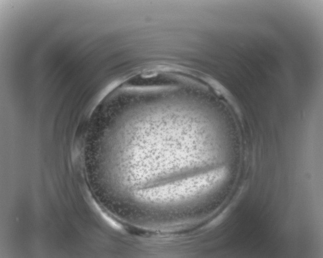 X0000082171385200701262349