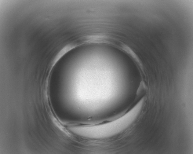 X0000082171386200701262349