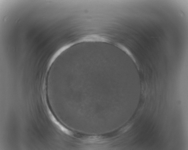 X0000082171387200701262349