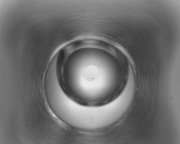 X0000082171388200701262349