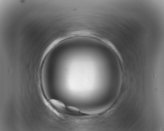 X0000082171389200701262349