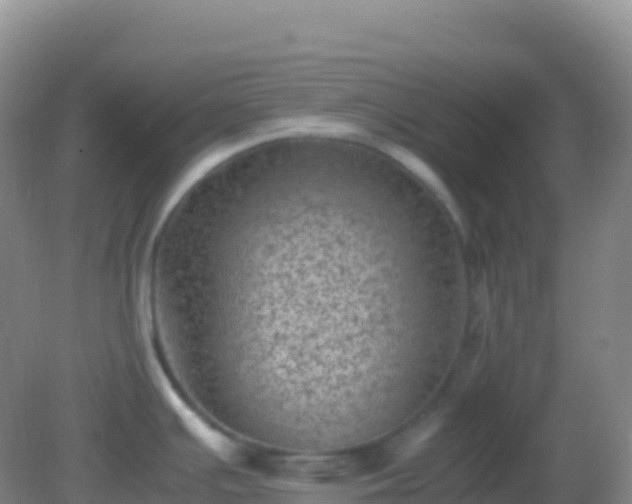 X0000082171391200701262349