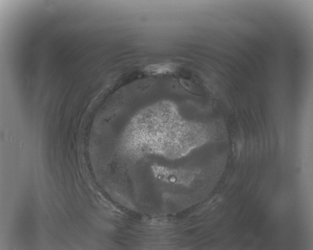 X0000082171393200701262348