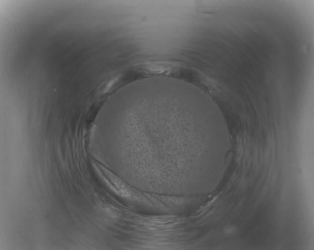 X0000082171394200701262348