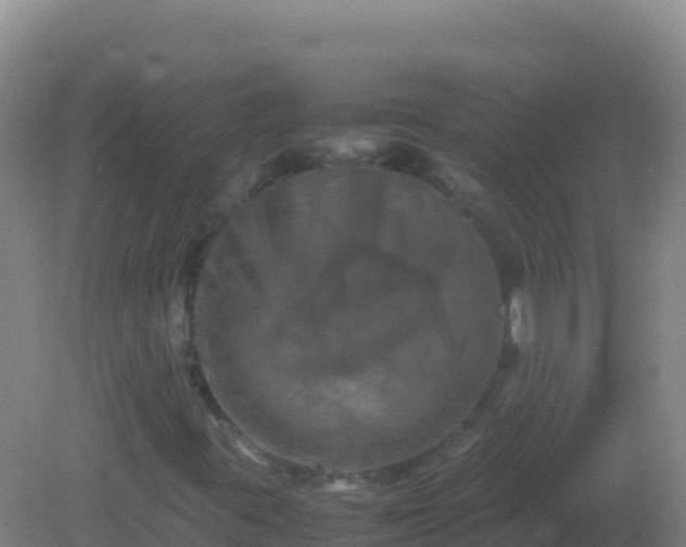 X0000082171395200701262348