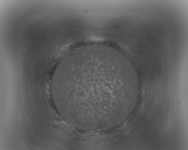 X0000082171397200701262348