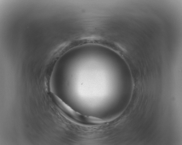 X0000082171398200701262348