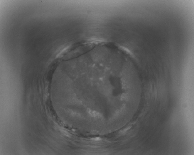 X0000082171399200701262348