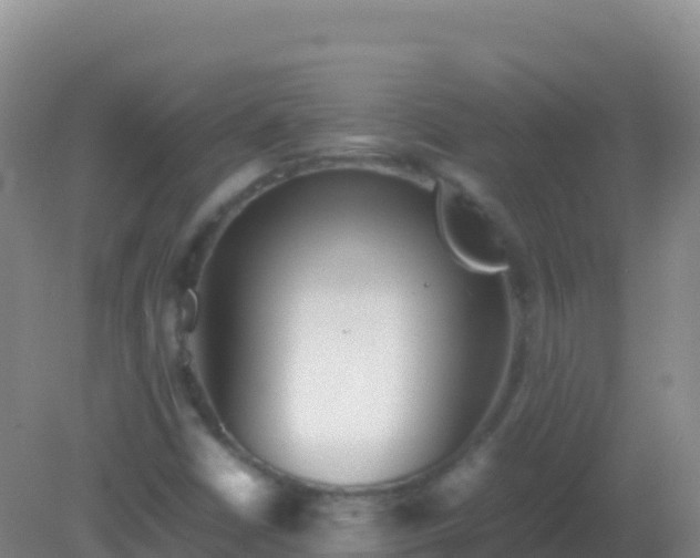 X0000082171402200701262348