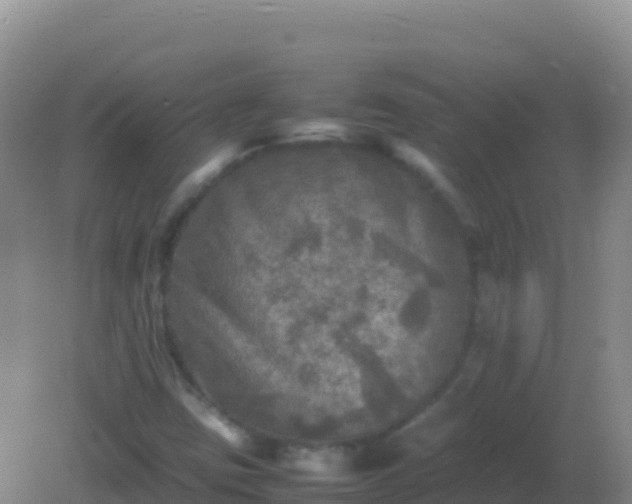 X0000082171403200701262348