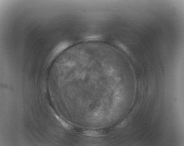 X0000082171405200701262348