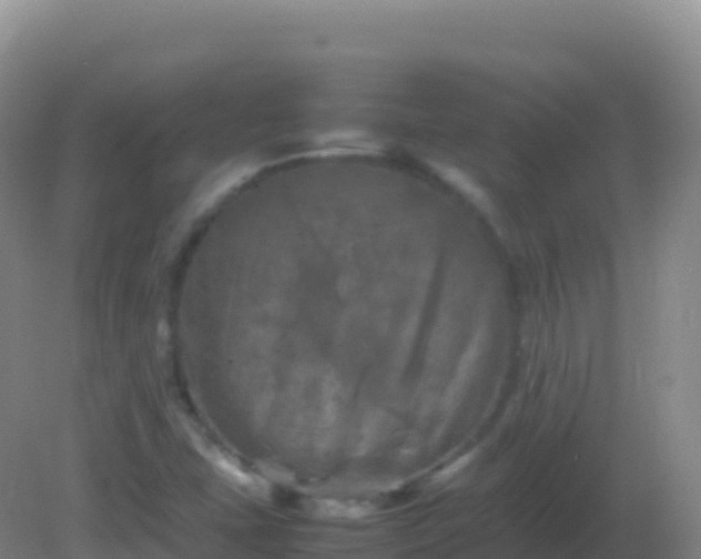 X0000082171407200701262348