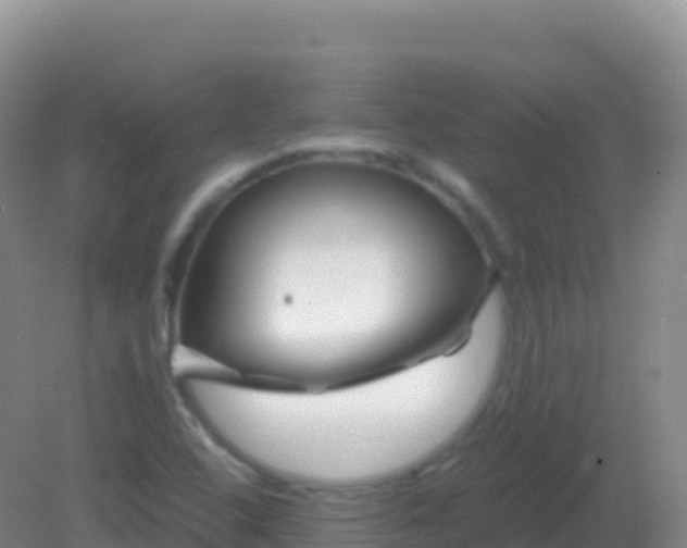 X0000082171408200701262348