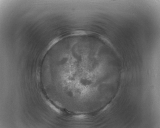 X0000082171409200701262348